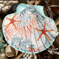 Image 1 of Shell trinket dish starfish aqua 