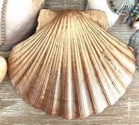 Image 2 of Shell trinket dish bicycle at the beach design