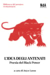 L'idea degli antenati, poesia del Black Power