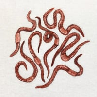 Image 3 of 1 of 1 Earthworms Baby Tee