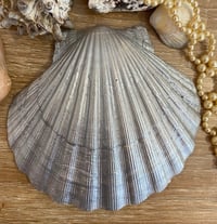 Image 3 of Shell trinket dish sealife design 