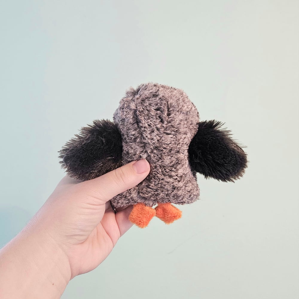 Image of Porgs