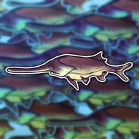 Image 1 of Paddlefish Sticker