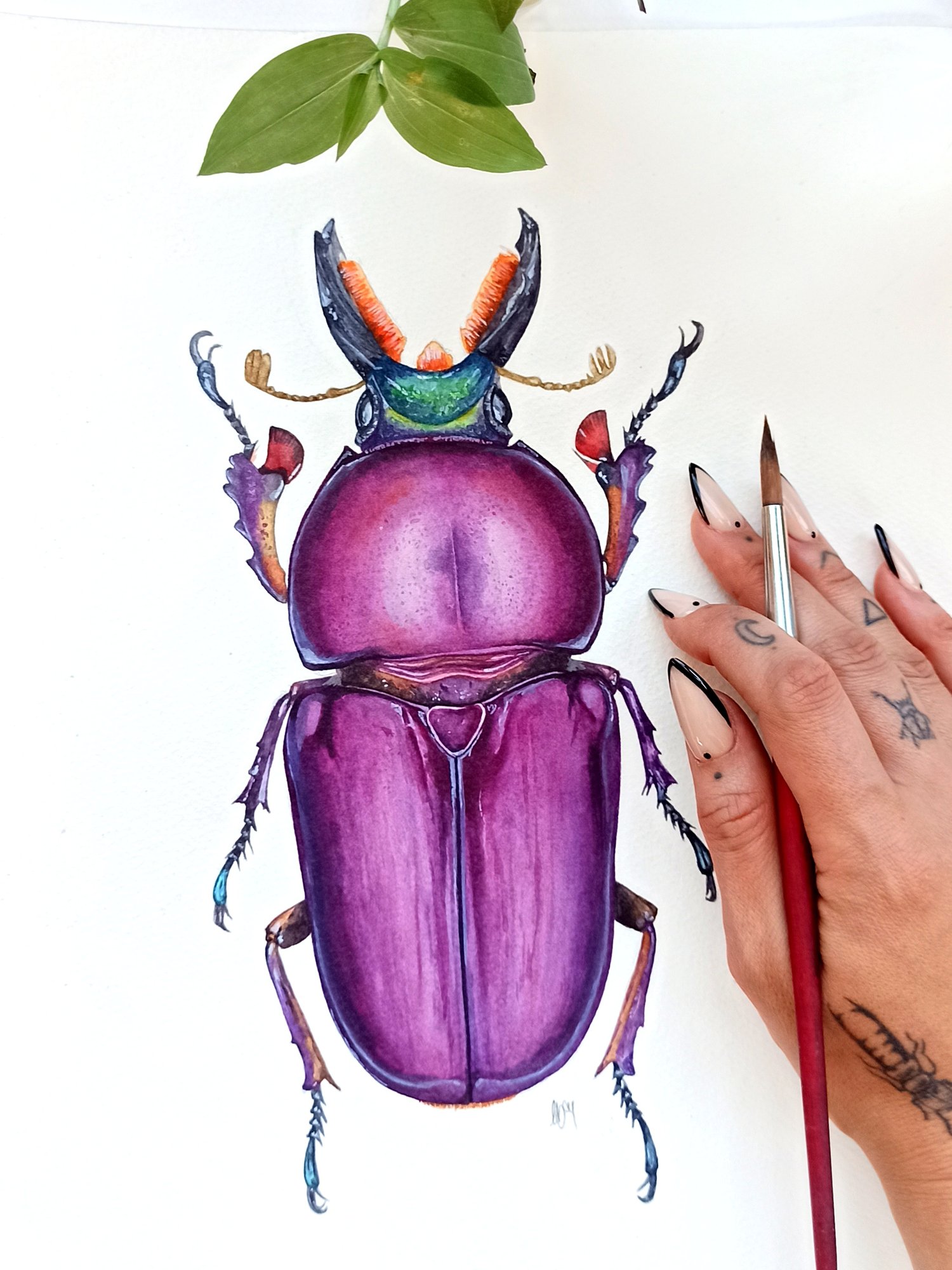Image of Purple Lamprima Stag Beetle Watercolor Illustration PRINT 