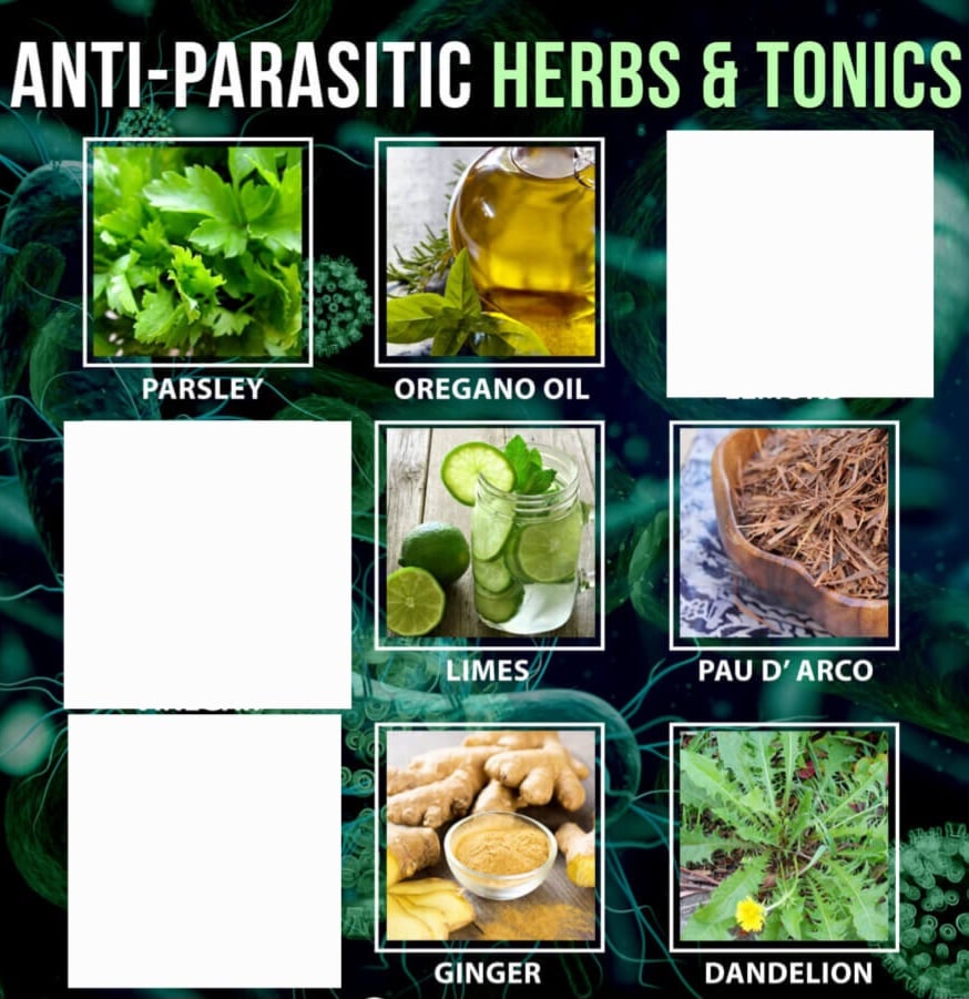 PAPA-YAY! Leaf Tea & Raw Green Fruit /Seed Powder-Parasites-GERD/Reflux-Digestion-Enzymes-Metabolism