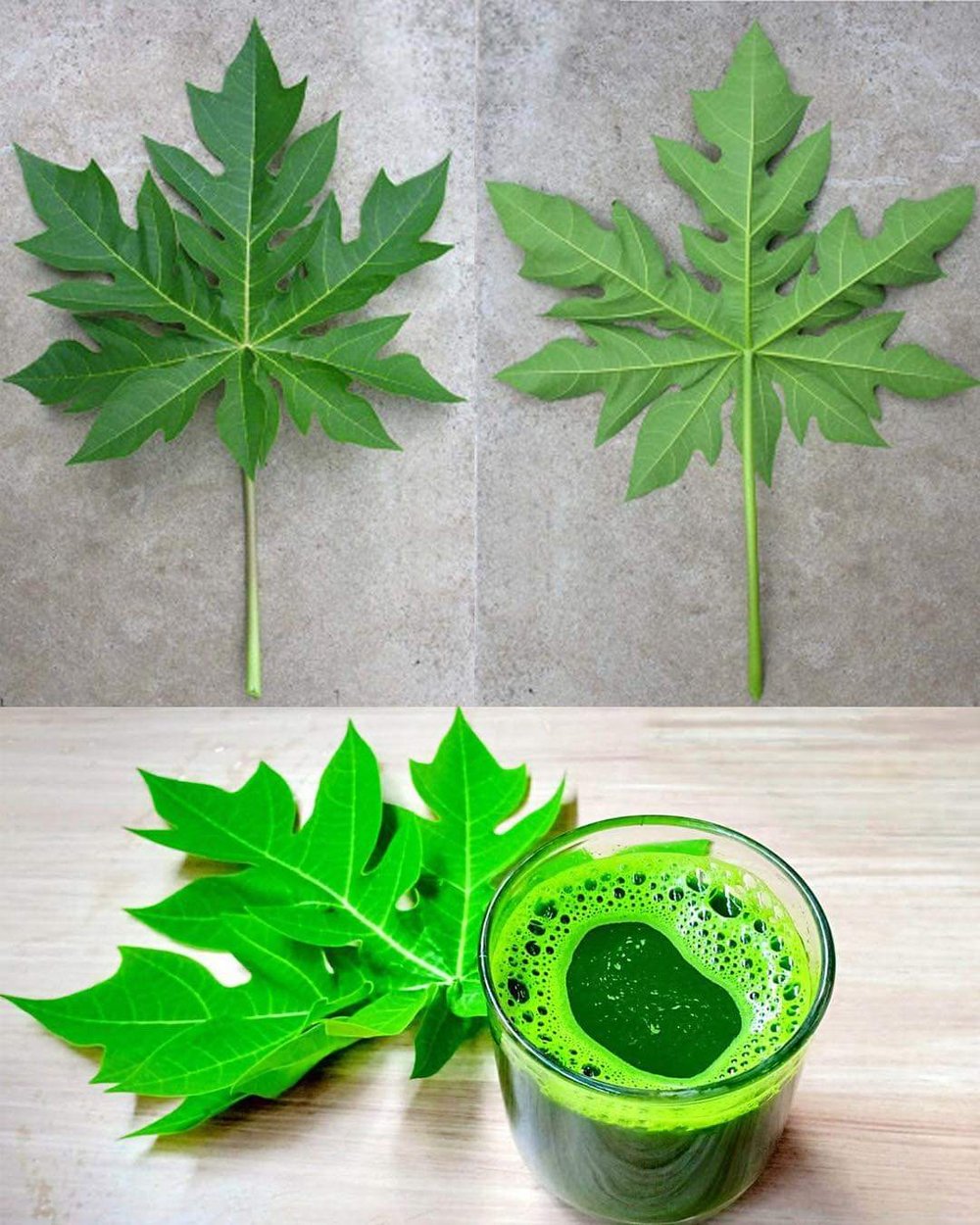 PAPA-YAY! Leaf Tea & Raw Green Fruit /Seed Powder-Parasites-GERD/Reflux-Digestion-Enzymes-Metabolism