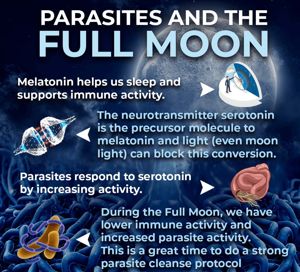 PAPA-YAY! Leaf Tea & Raw Green Fruit /Seed Powder-Parasites-GERD/Reflux-Digestion-Enzymes-Metabolism