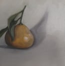 Image 4 of Petite mandarine