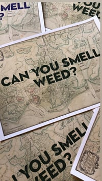 Image 5 of Can You Smell Weed?