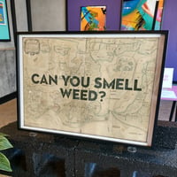 Image 2 of Can You Smell Weed?