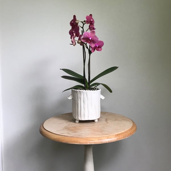 Image of Stripy Cachepot/Vase