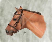 Digital Watercolour Horse Portrait 