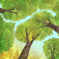 Image 1 of Looking Up 