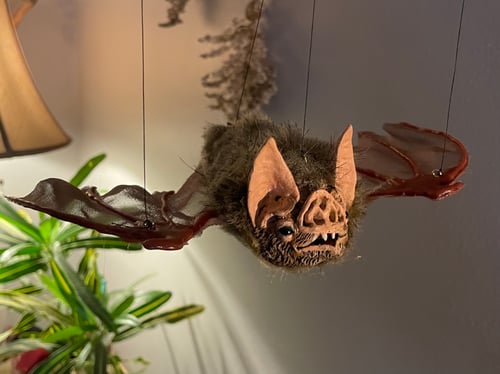 Image of Bat!