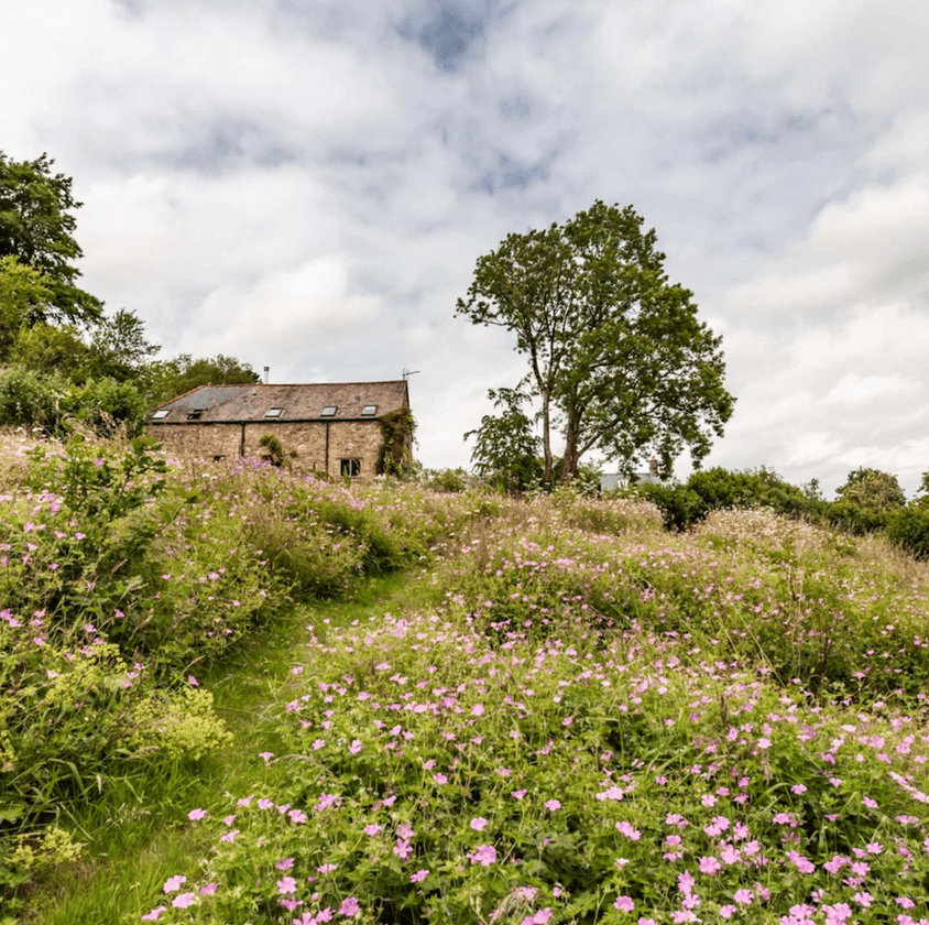 Image of Dartmoor Retreat - June 5th-8th 2025