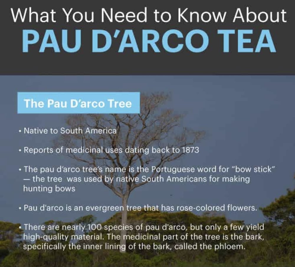 PINK TRUMPET! Pau d'Arco Adaptogen. Food/Beverage Additive. Candida/Yeast-Chemo-Cancer-Ulcers-Herpes
