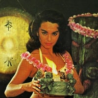 Image 11 of 💥 Holy Grail 💥 Original Mai Kai Mystery Bowl  FREE SHIPPING 