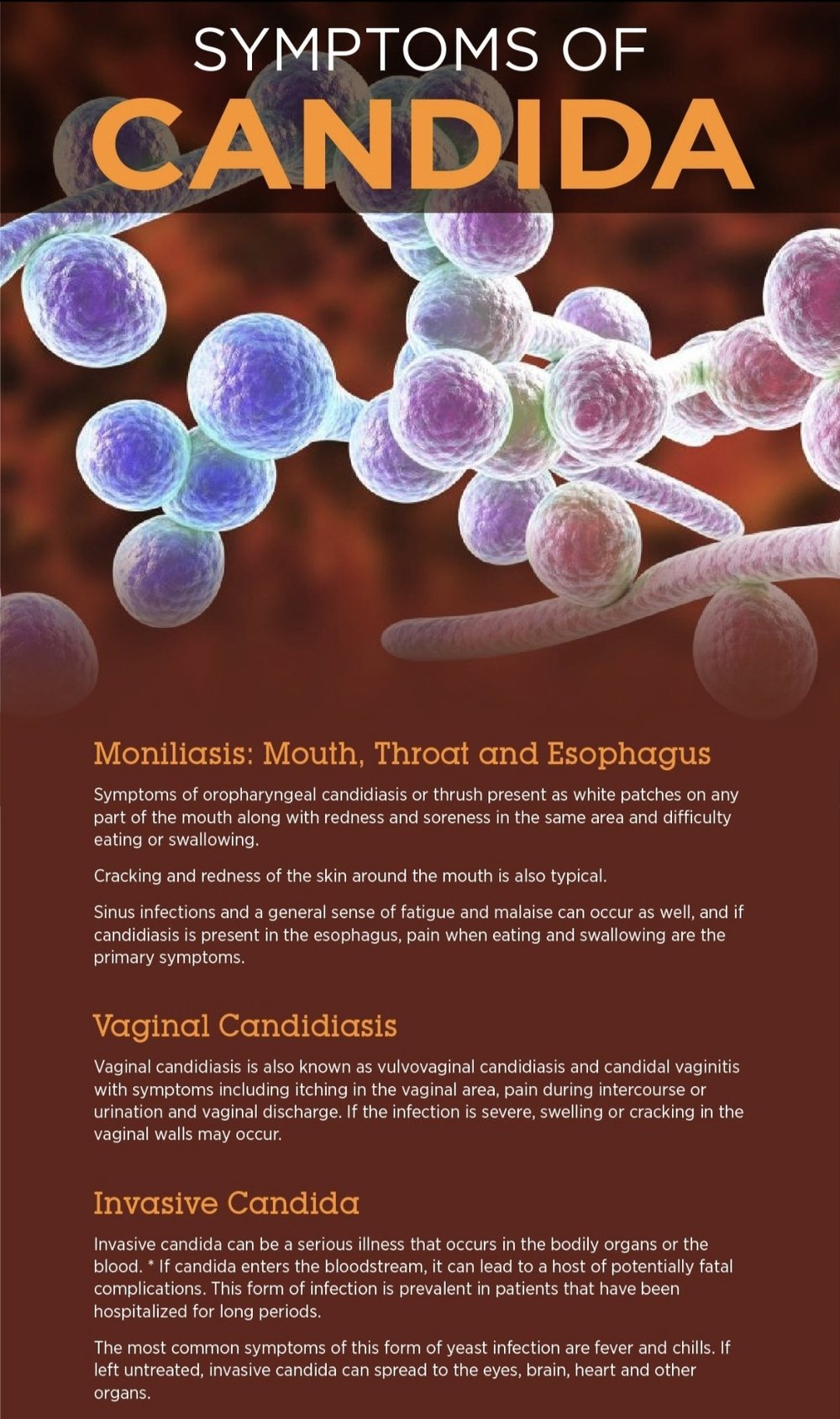 PINK TRUMPET! Pau d'Arco Adaptogen. Food/Beverage Additive. Candida/Yeast-Chemo-Cancer-Ulcers-Herpes