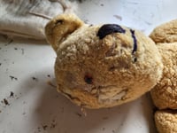 Image 7 of Family gang Before & After