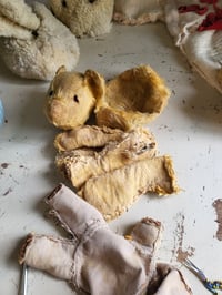 Image 5 of Family gang Before & After