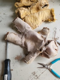 Image 11 of Family gang Before & After