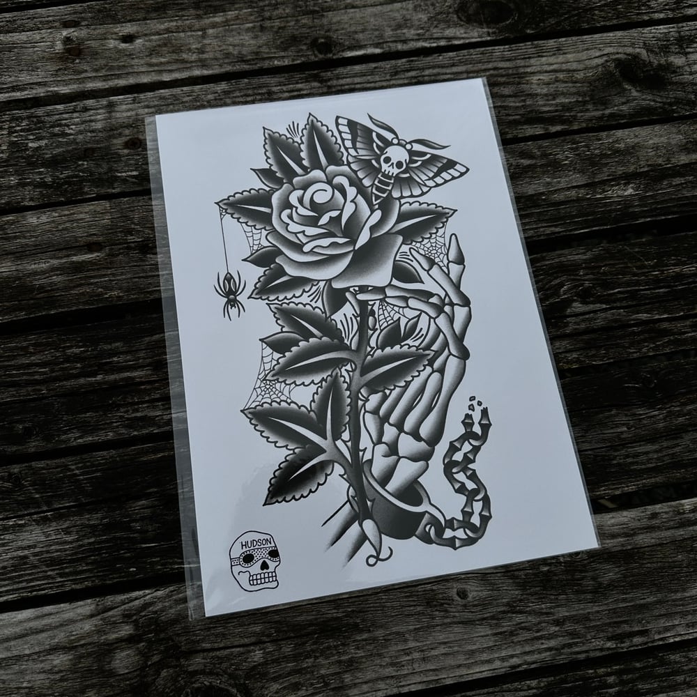 Image of Black rose
