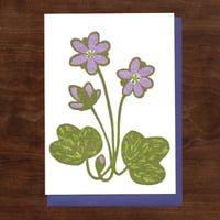Image 3 of Spring Ephemerals Notecard Set #4