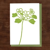 Image 4 of Spring Ephemerals Notecard Set #4
