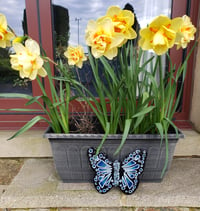 Image 3 of Hnad Painted Slate Butterfly (Blue & White) SOLD