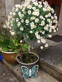 Image 2 of Hand Painted Slate Butterfly (Green & White)