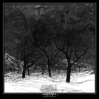 Image 1 of ETHEREAL SHROUD – TBTFA | VINYL 2LP (custom "black smoke" collector's ltd. 115)