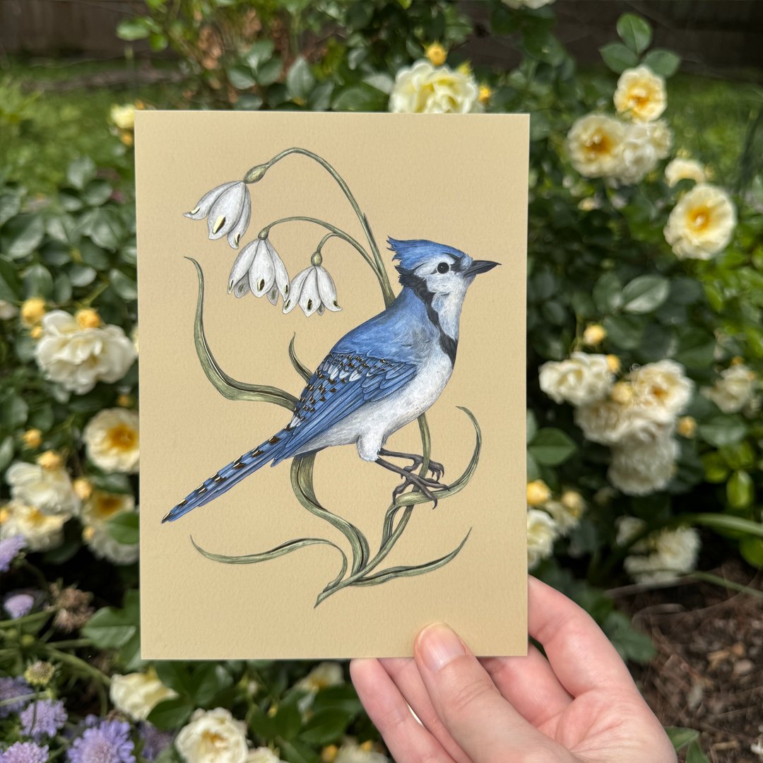 Gold Foil Garden Friends Postcards | Jessica Roux