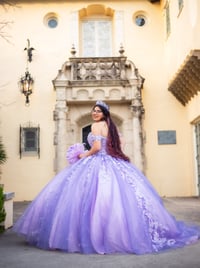 Image 1 of Quinceañera Portrait Session  (Special Pricing) 