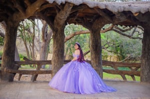 Image of Quinceañera Portrait Session (Special Pricing)