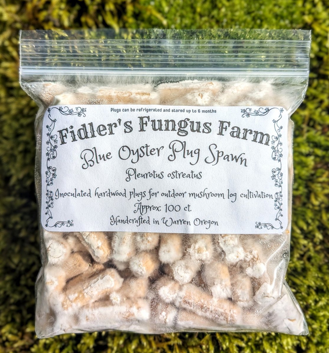 Mushroom Plug Spawn | Fidler's Fungus Farm