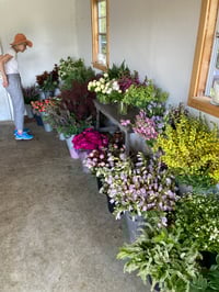 Image 3 of Floral Fundamentals :: Romanced by Peonies MAY 30th