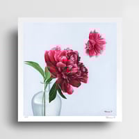 Image 1 of “Betta in Red” Limited Edition Print