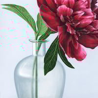 Image 3 of “Betta in Red” Limited Edition Print