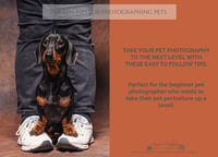 Top Ten Tips for Photographing pets with Louise Sedgman - Downloadable PDF.