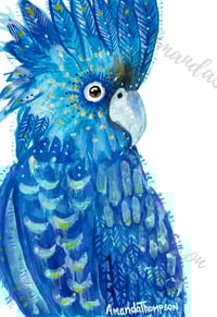 Bluey