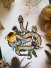 Grass snake