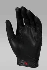 Image 2 of Jordan Tour Regular Golf Glove (M Large) [2024]