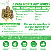 Grow Morel Mushrooms at Home! 6 pack Morel Mushroom Spores Growing Kit