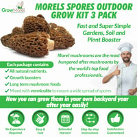 3 pack Morel Mushroom Spores Growing Kit - Grow Morel Mushrooms at Home! 