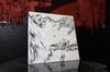 "ANDATE IN PACE" Test Press. Box (1/5)