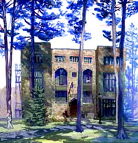 Towering Pines Above Frost Hall