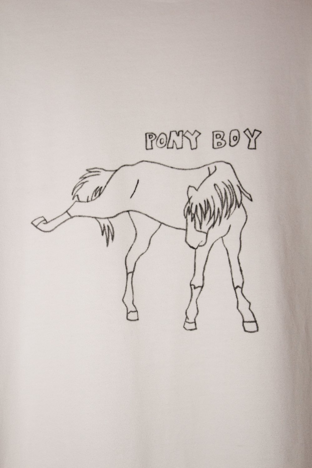 Image of PonyBoyT
