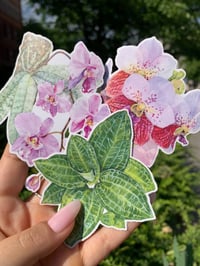 Image 3 of Orchid Sticker Set