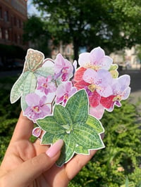 Image 2 of Orchid Sticker Set