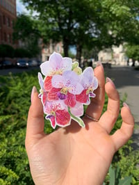 Image 5 of Orchid Sticker Set